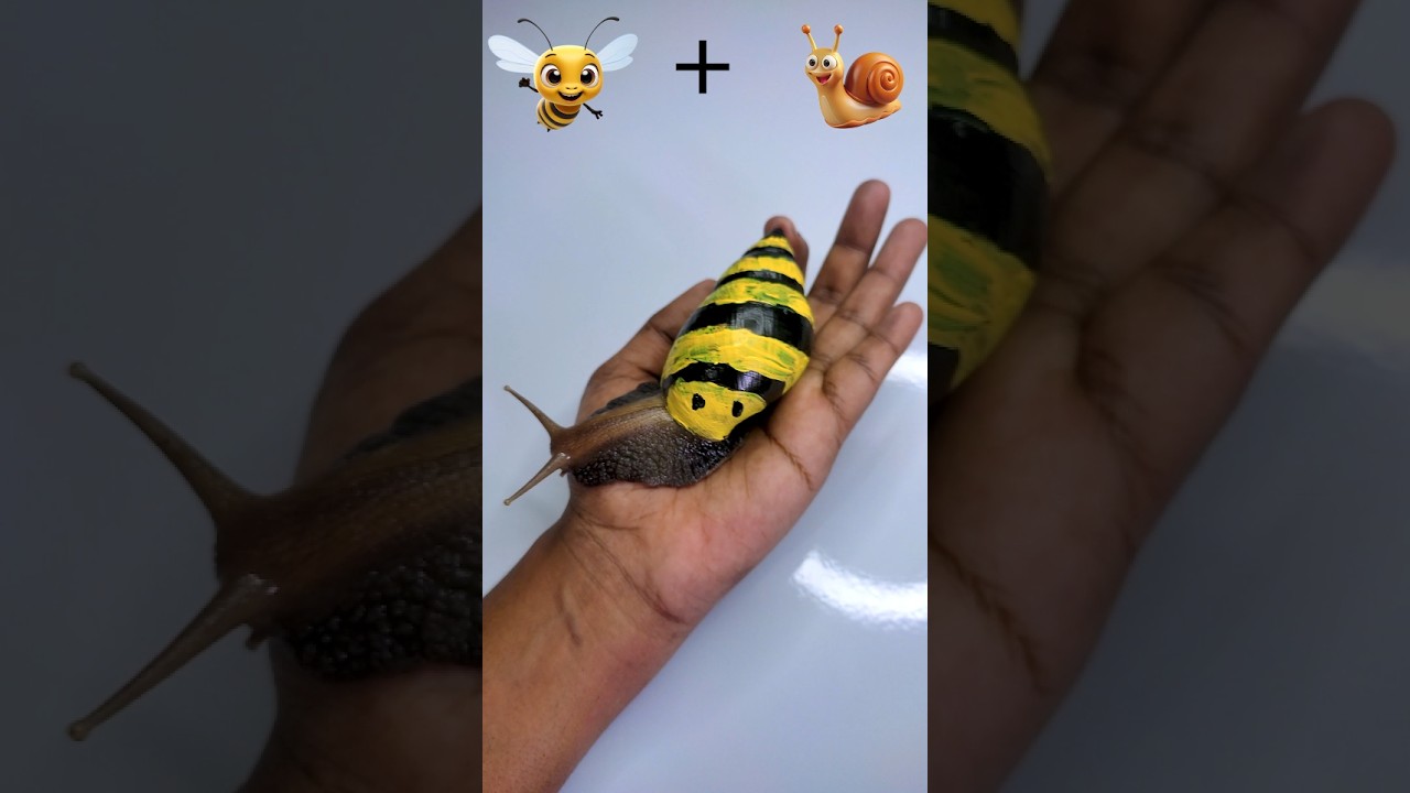 Art on Snail Shell: Painting a Bee | Creative Animal Body Art🐌