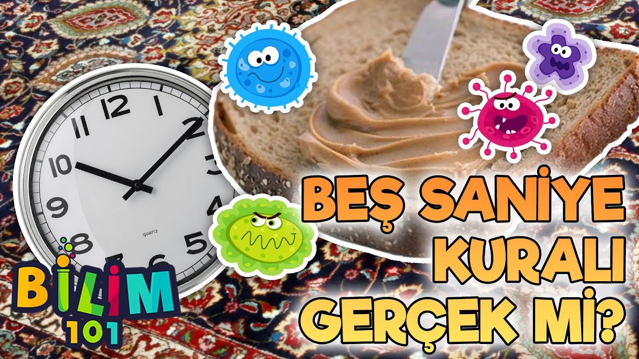 Bakteriler Yiyeceklerimize Kaç Saniyede Bulaşır? İnsan Sağlığı 101