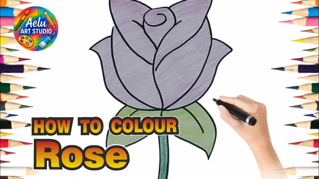 How to Colour a Rose 🌹 | Easy Rose Colouring Step by Step for Beginners 