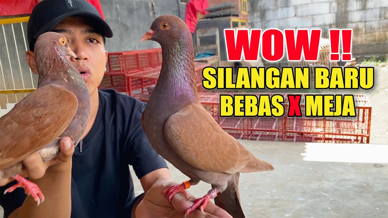 JOWO X BETINA BARU - PIYIK PERDANA GIRING