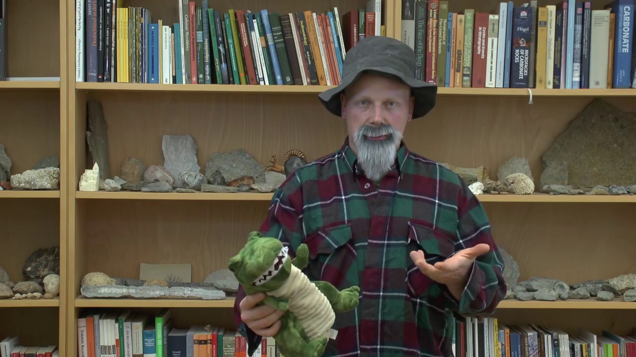 Niklas Hohmann: Paläontologie - Mehr als nur Dinosaurier