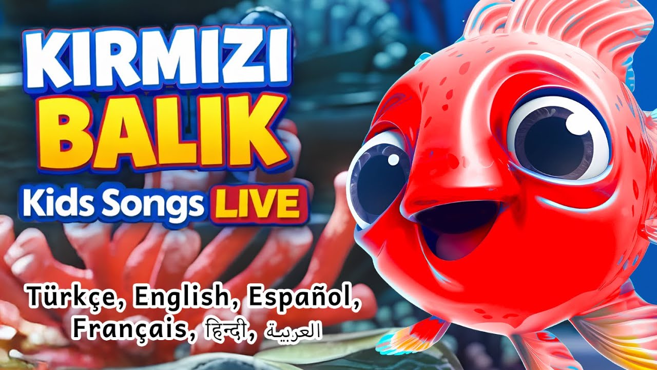 Kırmızı Balık Kids Songs LIVE 🐟🌍 | Multilingual Children Songs