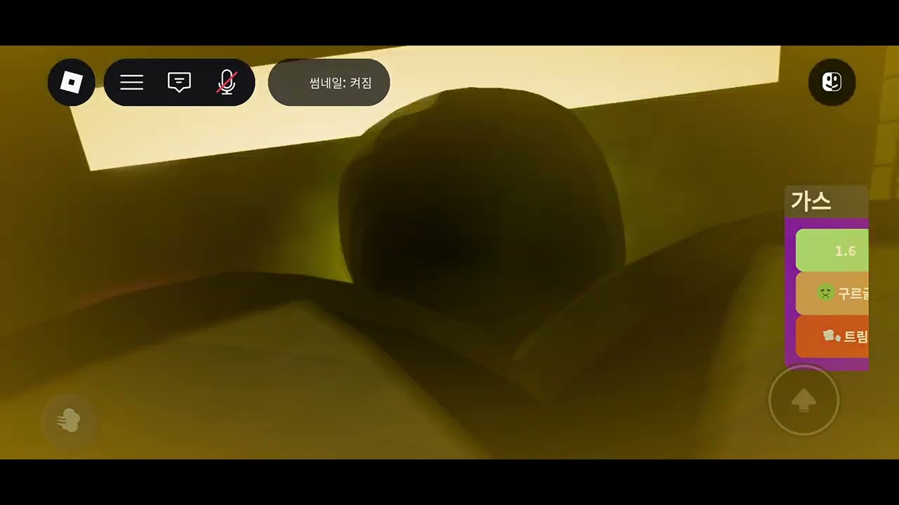 2026년 1월 11일