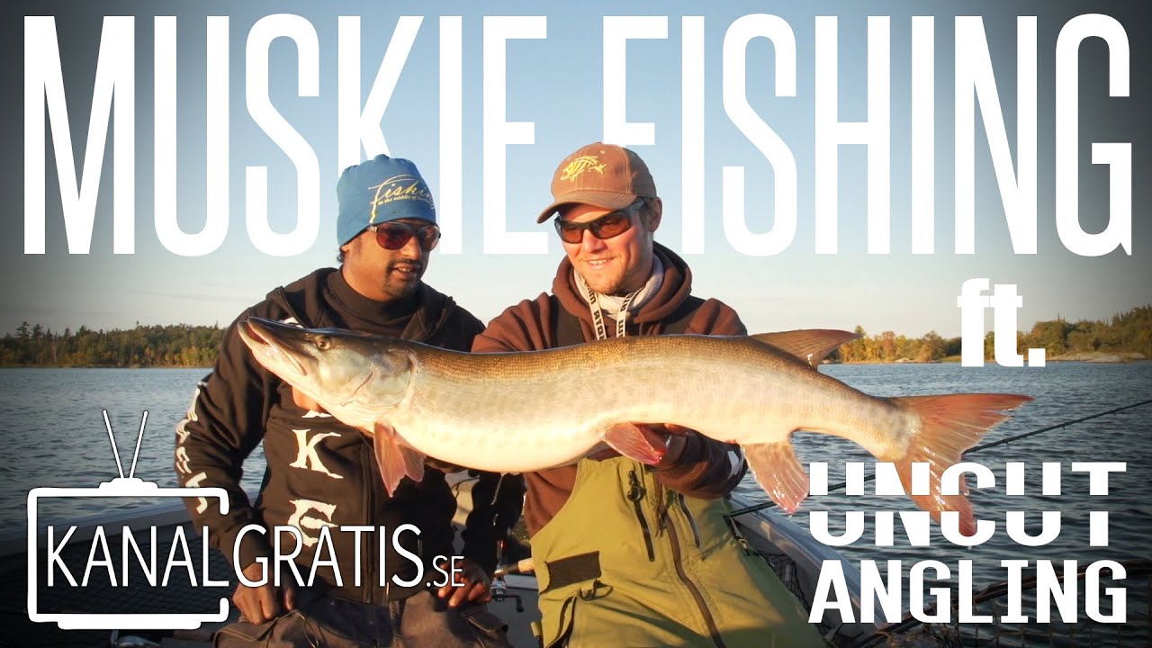 Muskie Fishing ft. Uncut Angling and Kanalgratis.se - Lake of the Woods