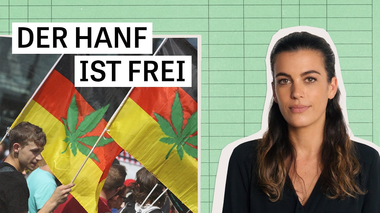 Der Hanf ist frei: Was bedeutet die Cannabis-Legalisierung im Alltag? | Was jetzt? – Die Woche