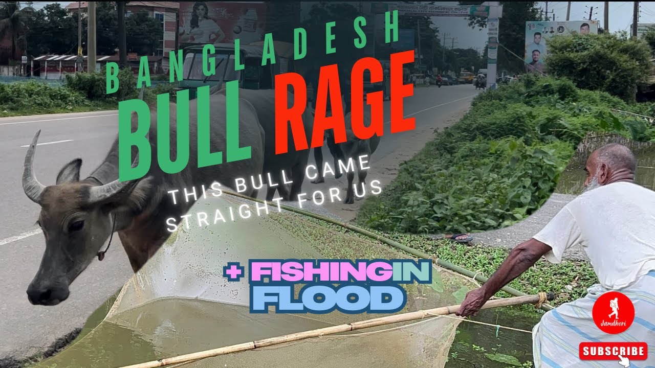 Bangladesh Travels| Fishing in Flood | #sylhet #sylhetvlog