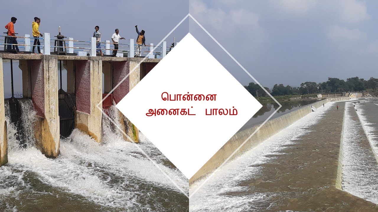 அனைகட் Anaicut