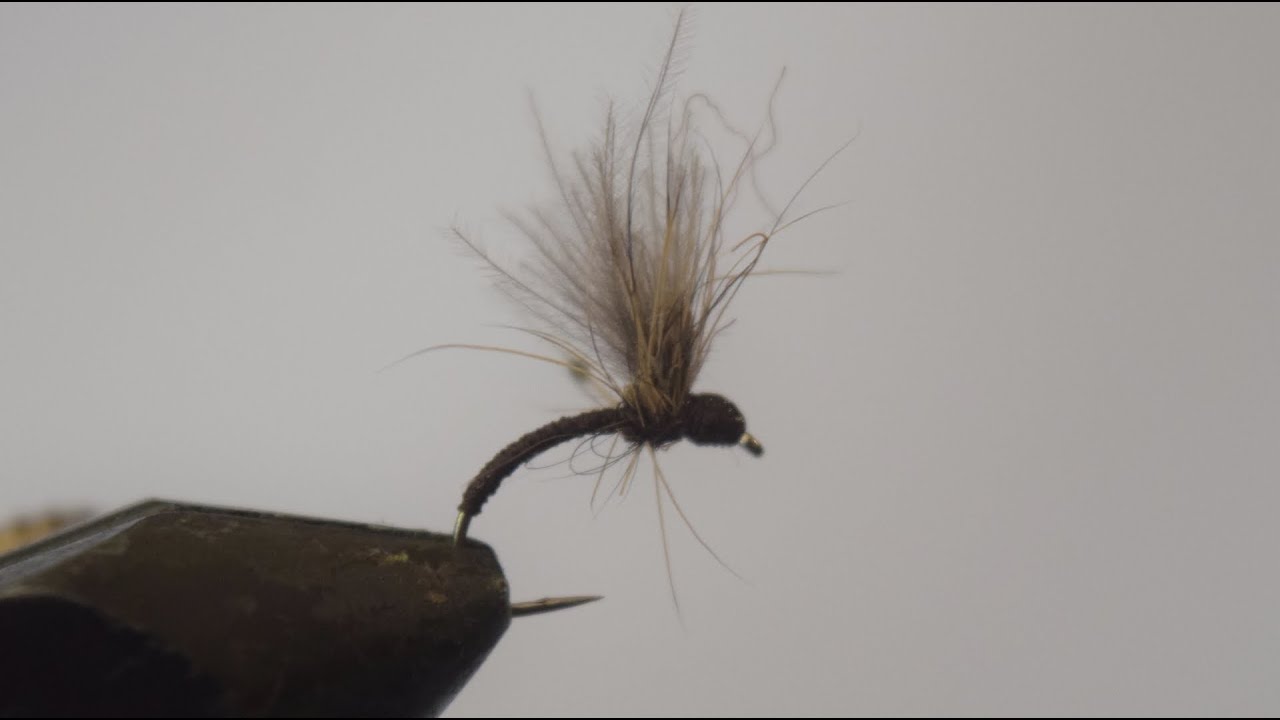 Montage vidéo d'une mouche sèche : La baétis rhodani