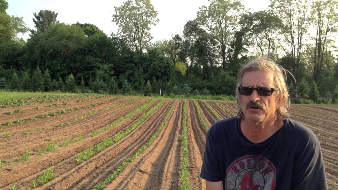 A Little View of Rosedale Farm's and Vineyard's