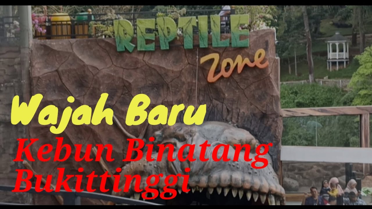 WAJAH BARU KEBUN BINATANG BUKITTINGGI #bukittinggi #sumbar #kebunbinatang