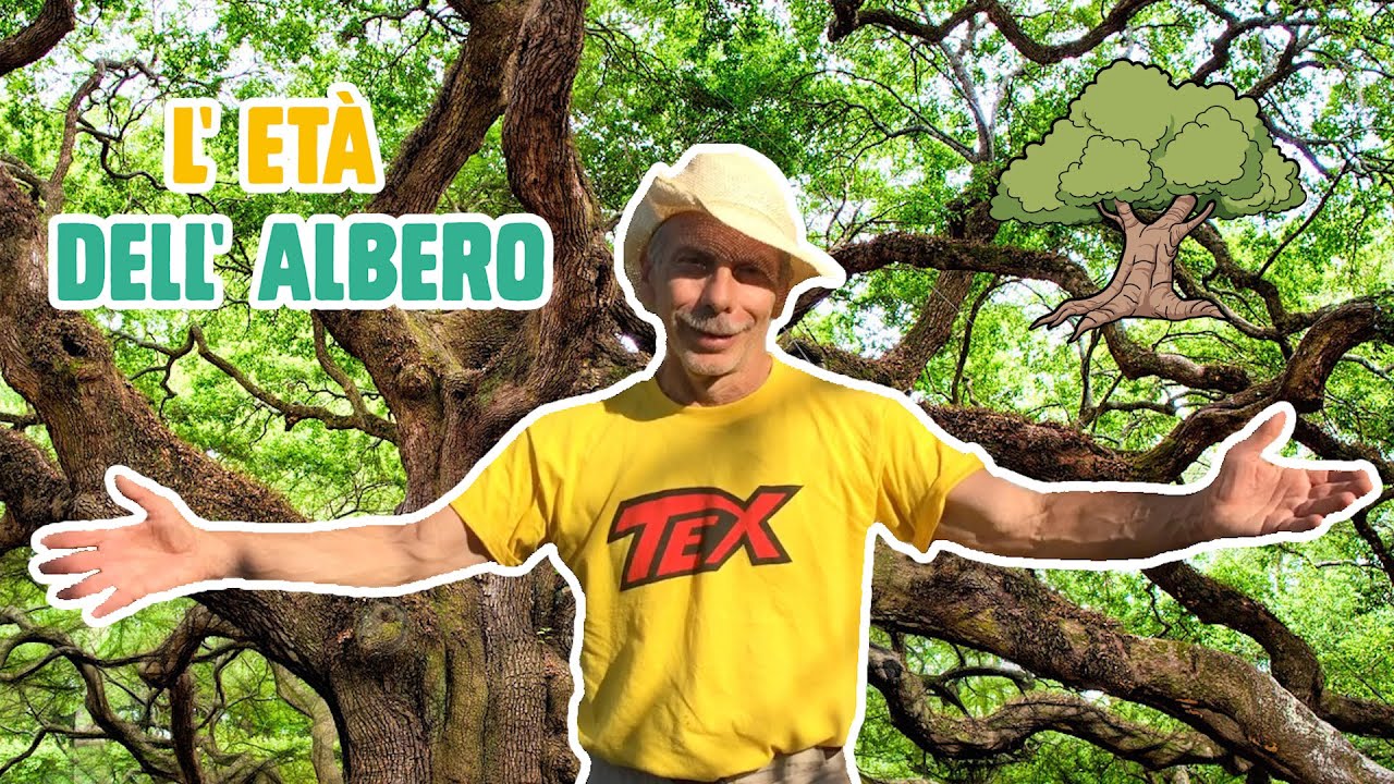 GIOVA LOVES NATURE 🌳 - Ep.12 - Come si calcola l'ETA' DELL'ALBERO?