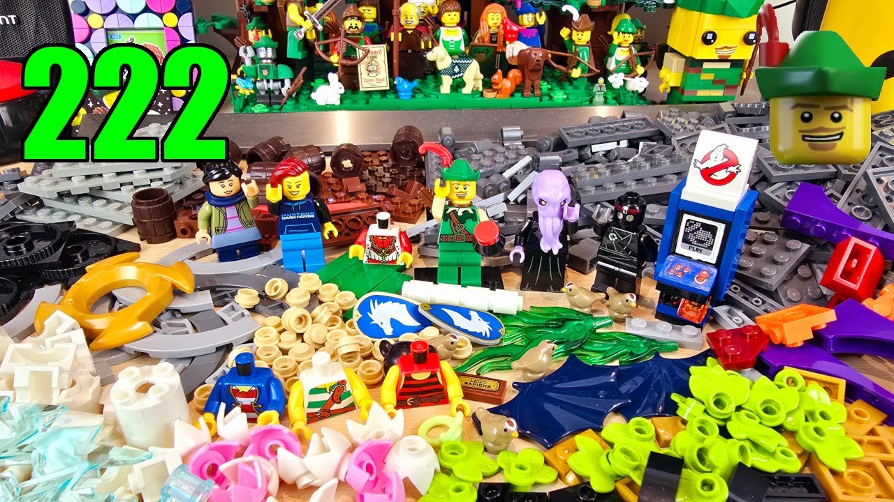 LEGO Brick Haul 222 - Brick Link 📦🏹