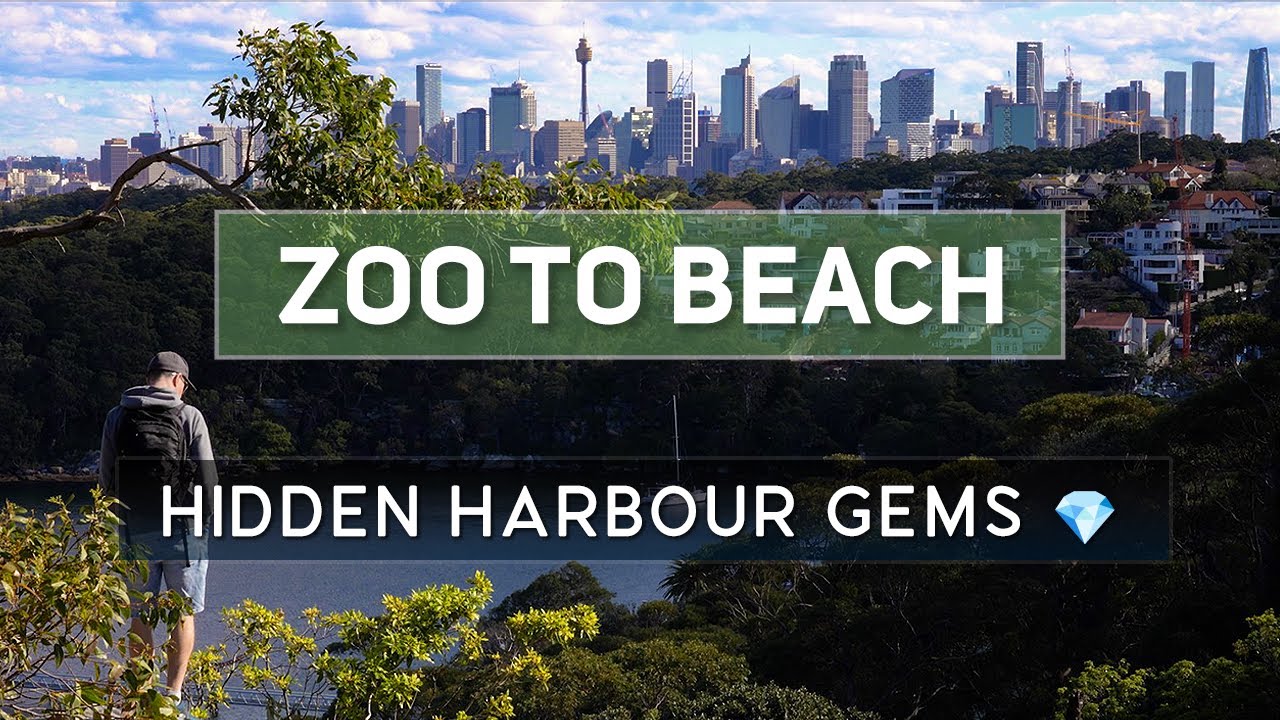 Sydney’s Most Beautiful Harbour Walk | Taronga Zoo to Balmoral Beach