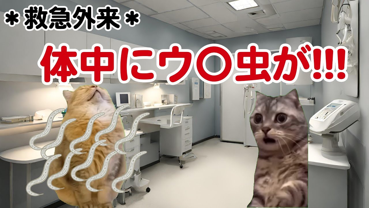 今日も救急外来で癖つよ患者に苦しむ医者の日常vol.2【猫ミーム】