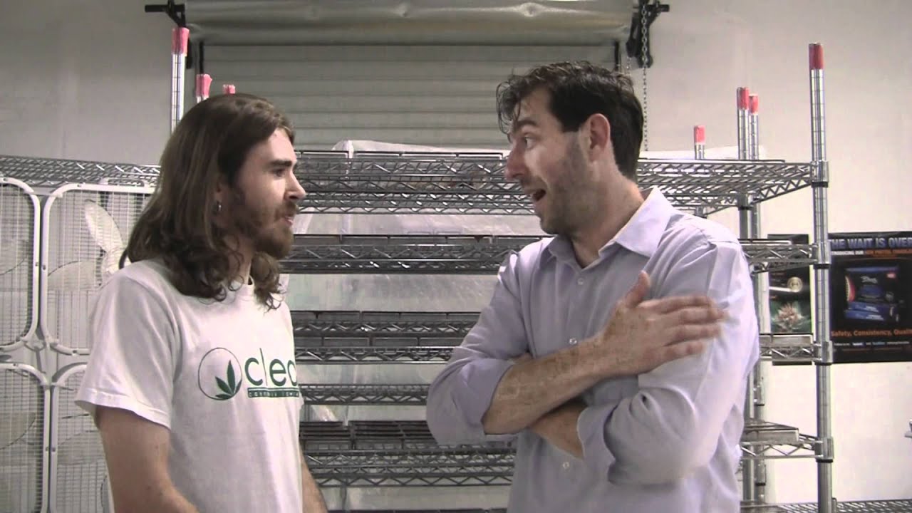 CannabisCureTV: Medical Marijuana Chocolate for Arthritis Inflammation Pain - Bhang California