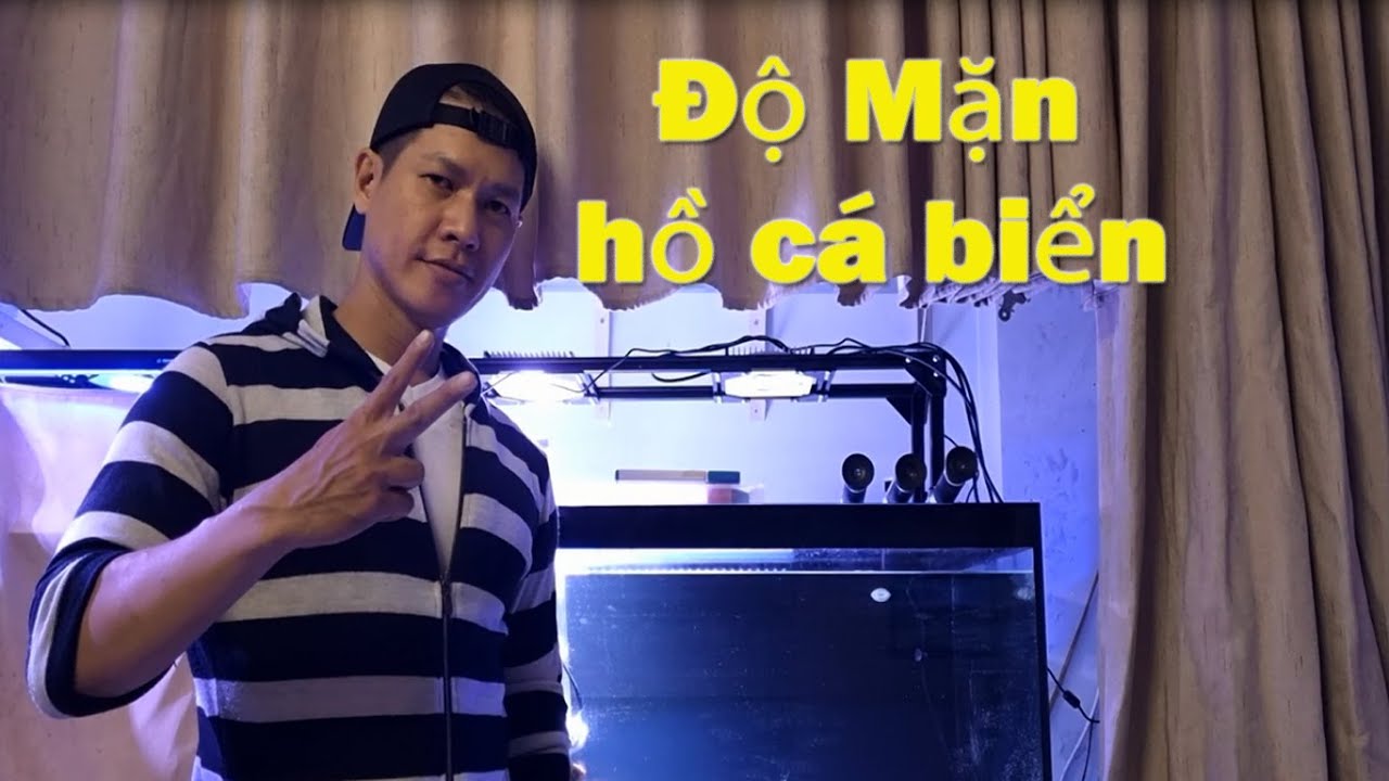 Độ mặn có thể kill san hô bạn #18