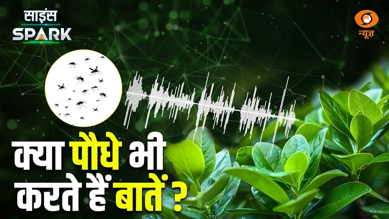 Plants कैसे करते हैं Insects से बातें | Science Spark