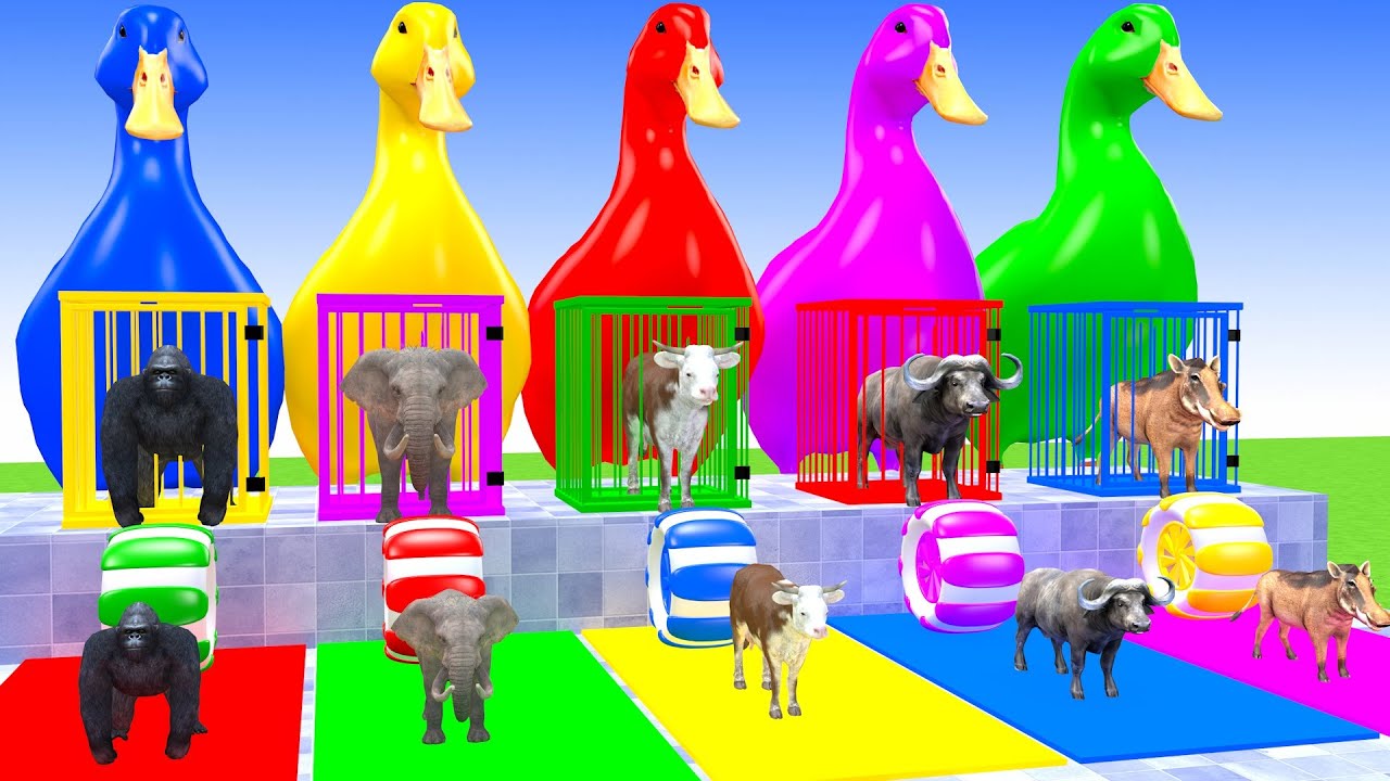 Long Slide Game With Elephant Gorilla Cow Buffalo Warthog 3d Animal Game Funny 3d Animals