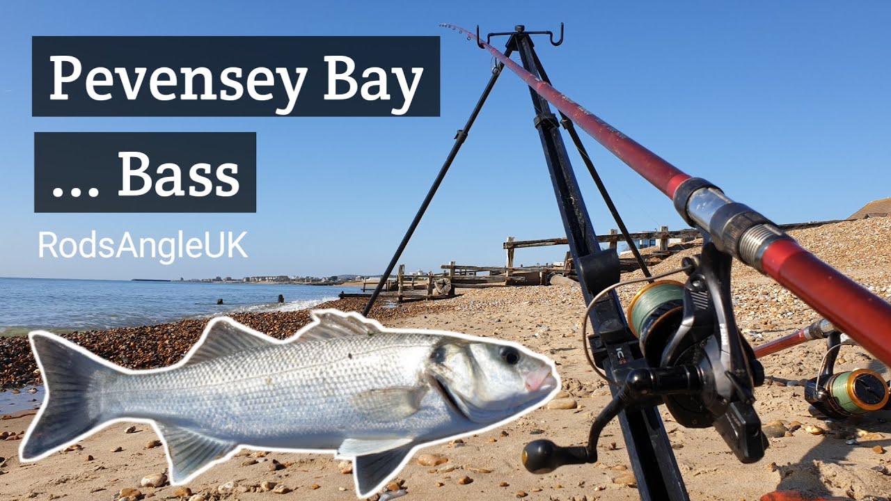 PEVENSEY BAY .......BASS