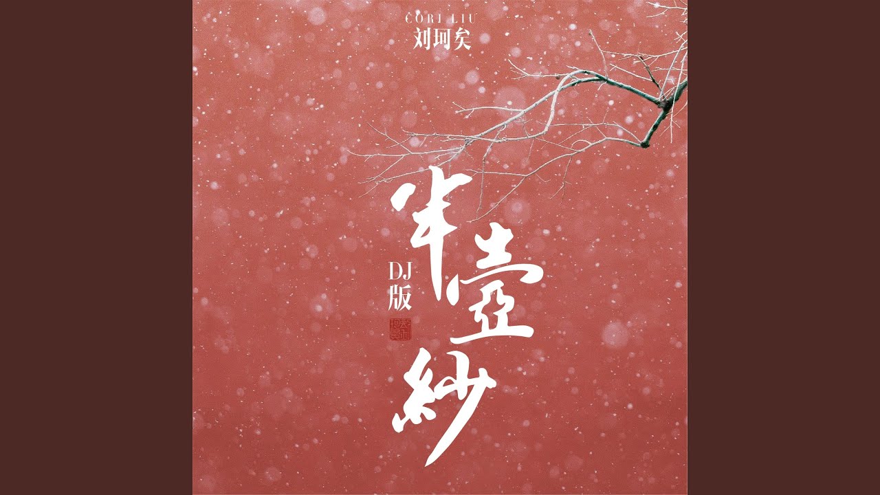 半壶纱 (DJ版)