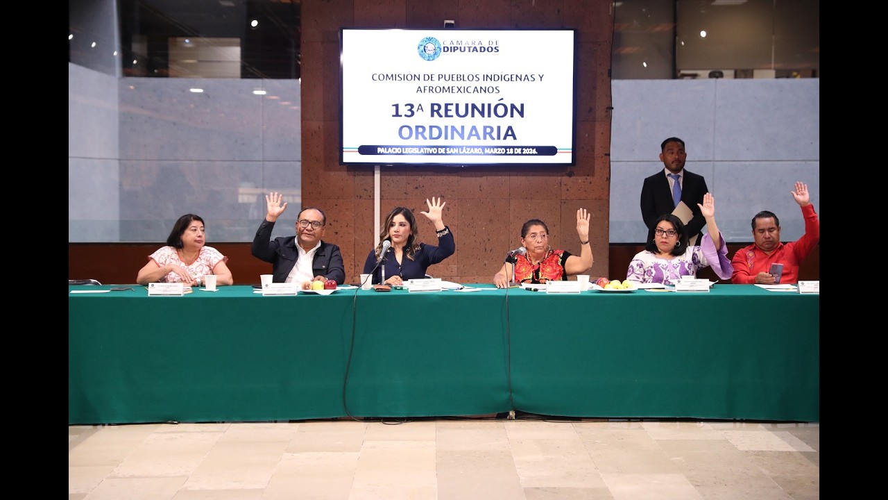 EN VIVO / Reunión Ordinaria de la Comisión de Pueblos Indígenas y Afroamericanos
