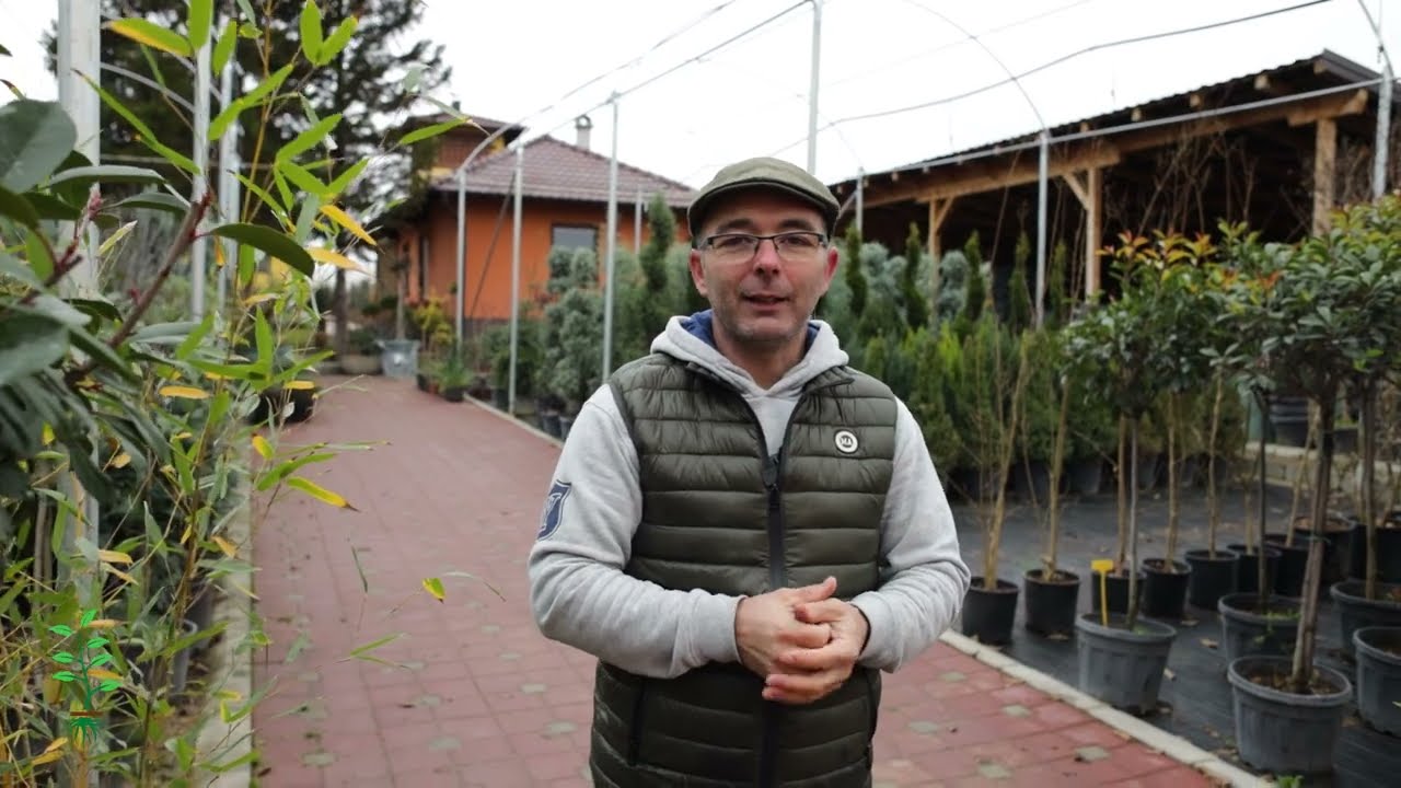 Svet rasadnika ep. 151 03.02.2024. Rasadnik 
