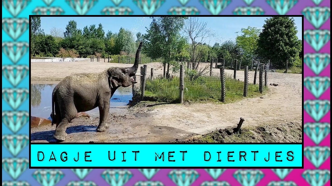 Een dagje uit in Dierenrijk Nuenen | HappyThingz.nl