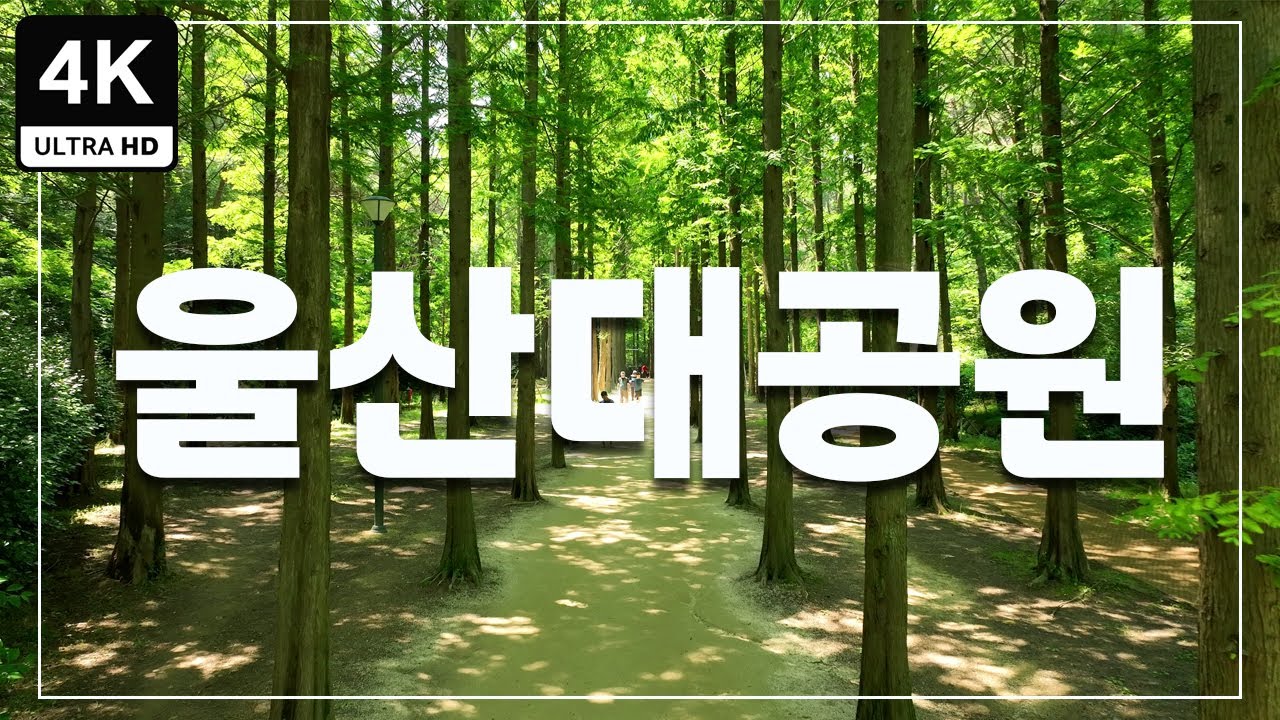 울산대공원(4K)