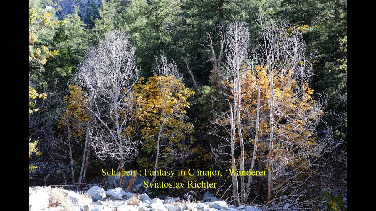 Schubert : Fantasy in C major, 'Wanderer'