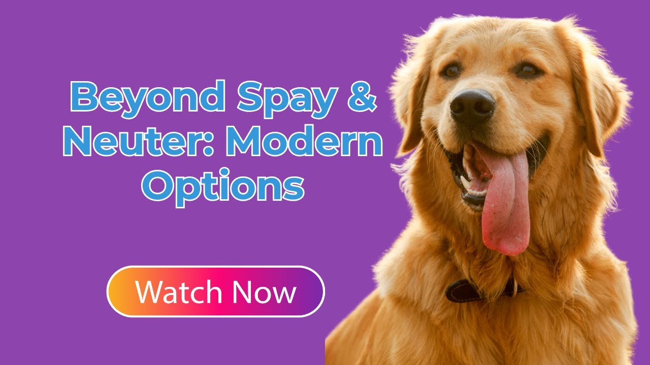 Beyond Spay & Neuter: Modern Options