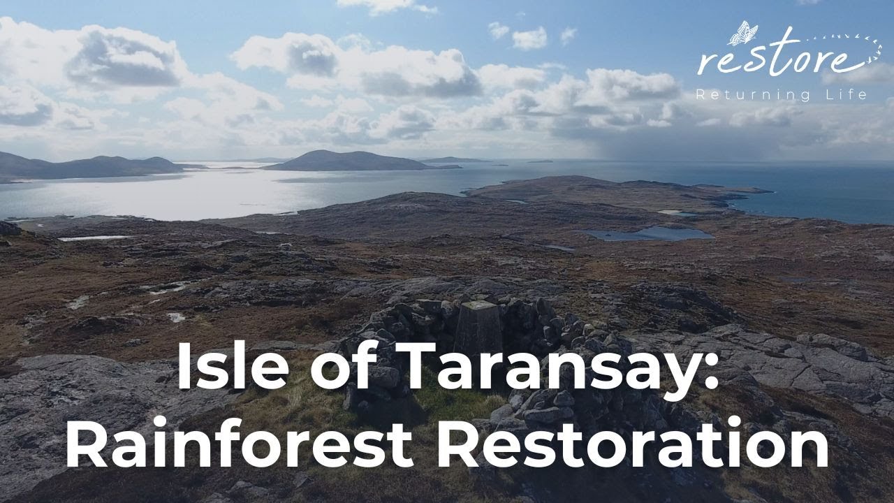 Taransay: Atlantic Rainforest Restoration