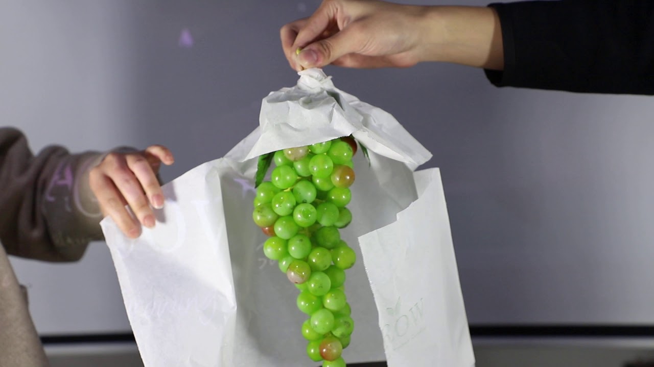 How to use fruit bags