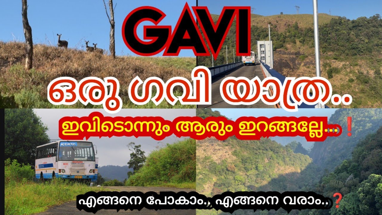 കൊടും കാട്ടിൽ ഇറങ്ങിയപ്പോൾ... 😵❗| Scenic Bus Journey of Kerala | Gavi route KSRTC| Malayalam 