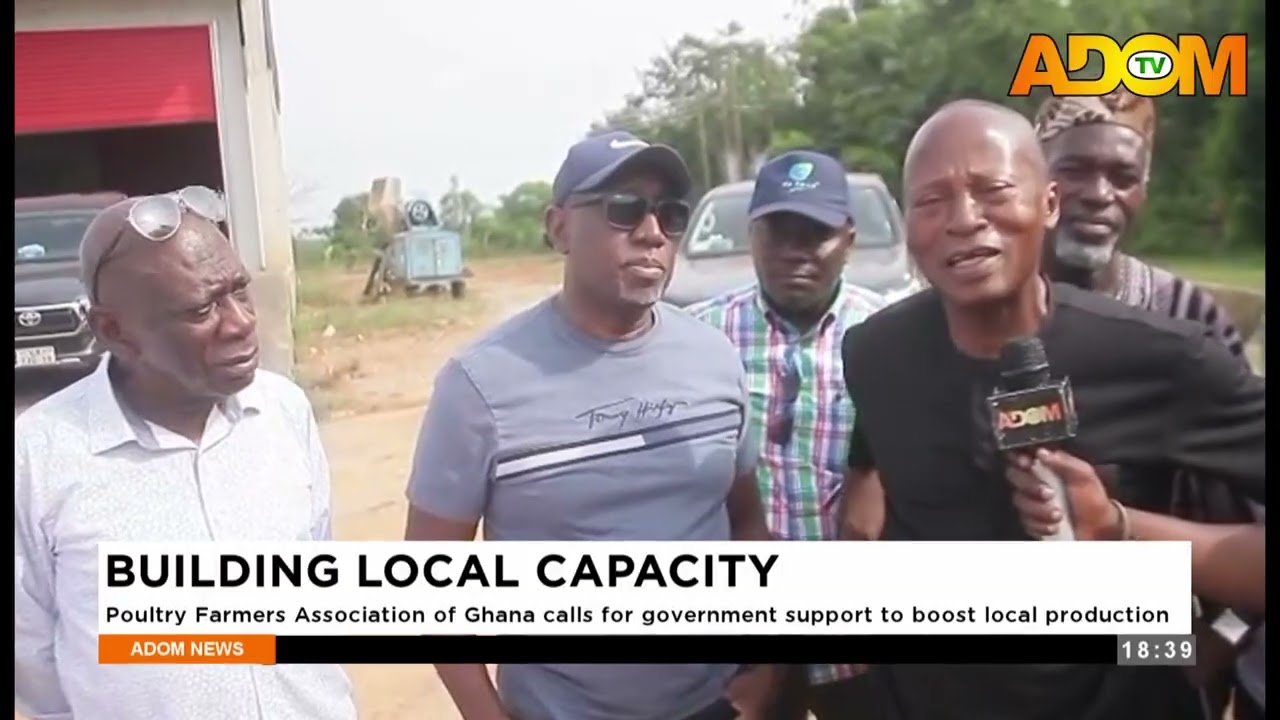 Poultry Farmers Association of Ghana calls for government support to boost local production  - News
