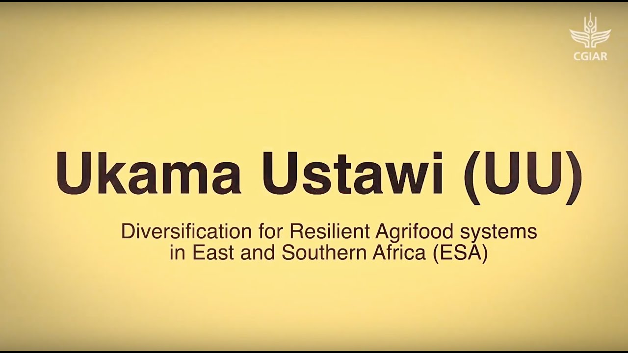 CGIAR Ukama Ustawi (UU): Virtual Field Trip in Kenya on Mechanization and Conservation Agriculture