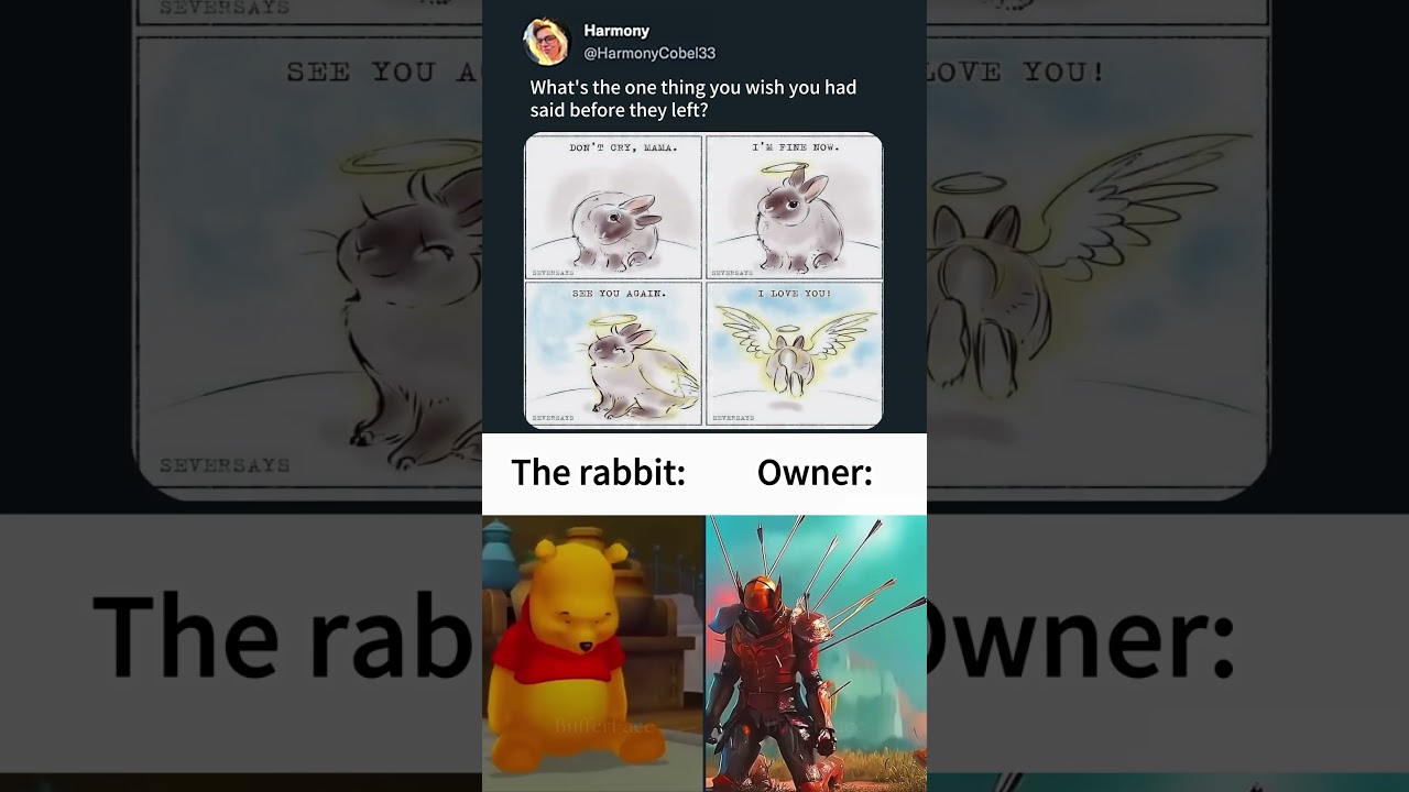 This Question Hurt 💔🐰