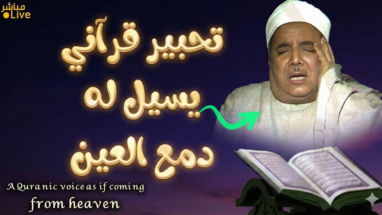 صوت عذب ورزين يقدّم لك التلاوة كما تحبها؛ نقاء ووضوح وخشوع 🌿 | Pure Quran Recitation