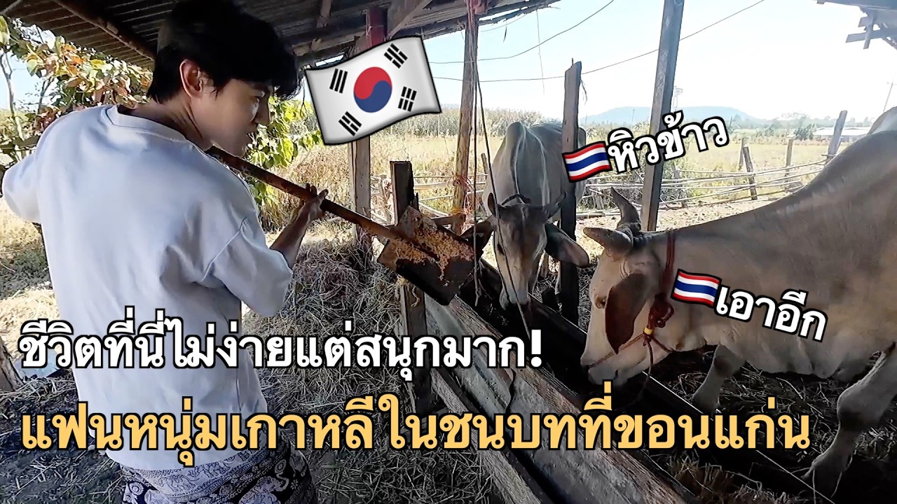 แฟนคนเกาหลีของฉันชอบบรรยากาศต่างจังหวัดของไทยมากค่ะ