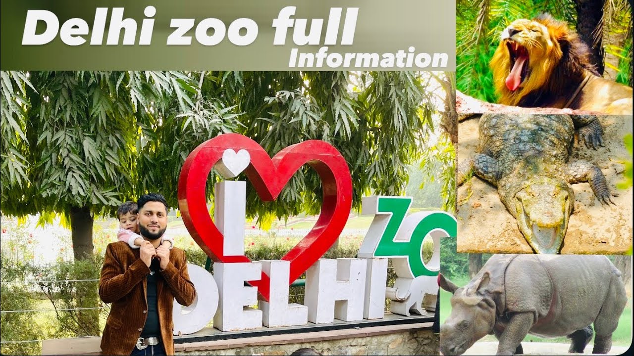 Delhi zoo complete vlog and mazar restaurant non-veg food full enjoy 😊 meet shail kh famous YouTuber
