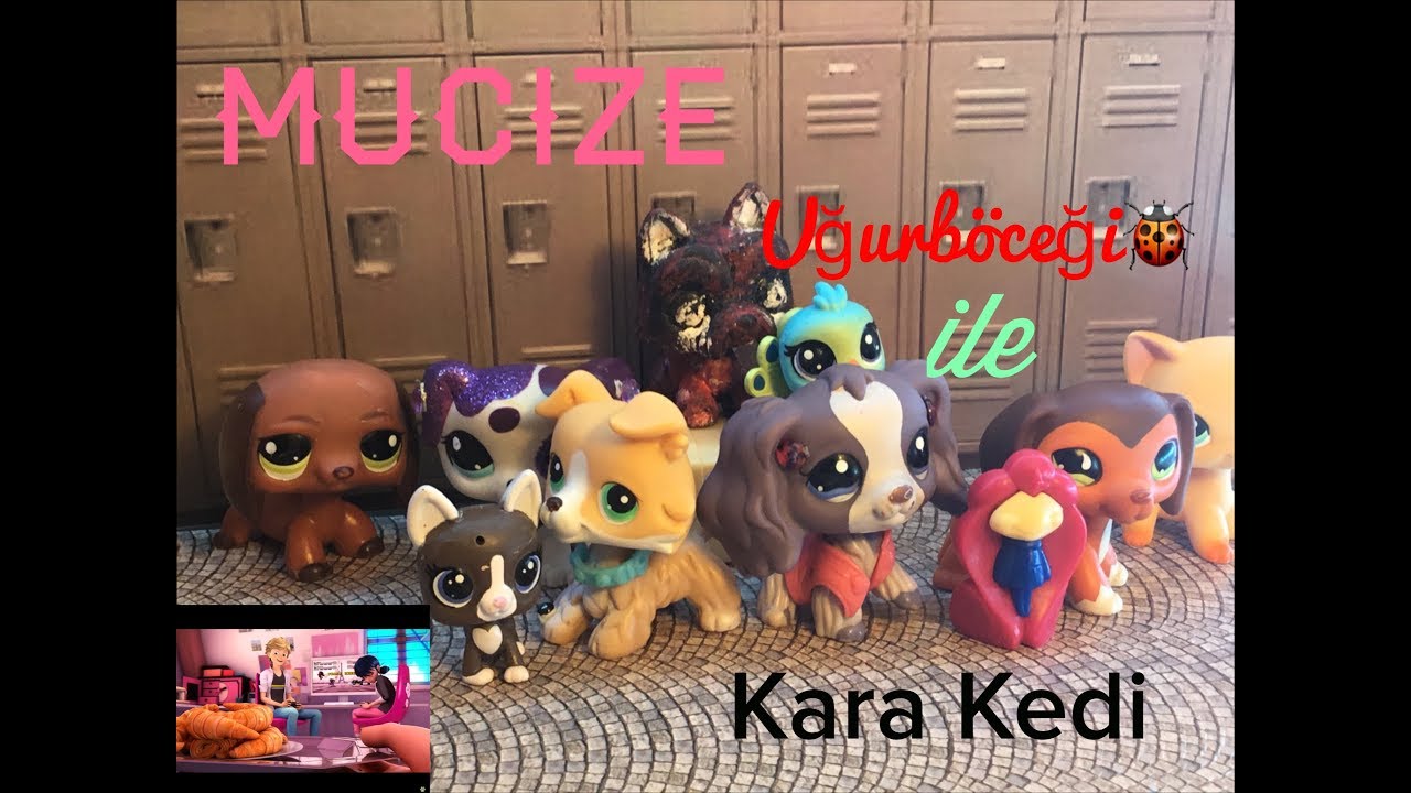 Minişler: Mucize Uğurböceği ile Kara Kedi KİMLİKLER: Bölüm 1