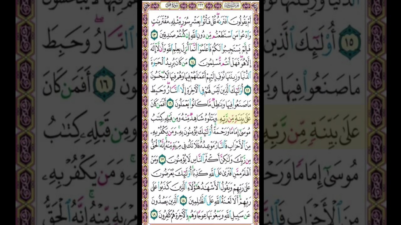 صفحة 223  من القرآن الكريم بصوت القارئ الشيخ ميثم التمار