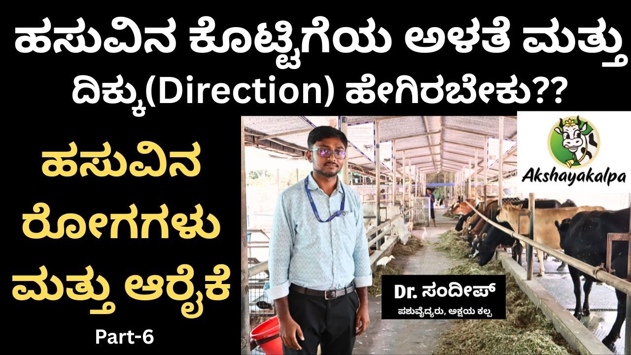 ಕಡಿಮೆ ಖರ್ಚಿನಲ್ಲಿ ಹಸುಗಳ ಹೈಟೆಕ್ ಶೆಡ್. Low-cost hi-tech shed for cows.