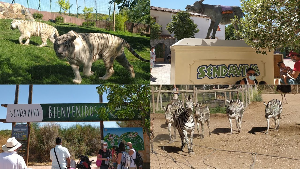 SENDAVIVA Natural Park in Navarra  Spain ||  Spain Turism || Travel ||Mrs Naveed in Spain