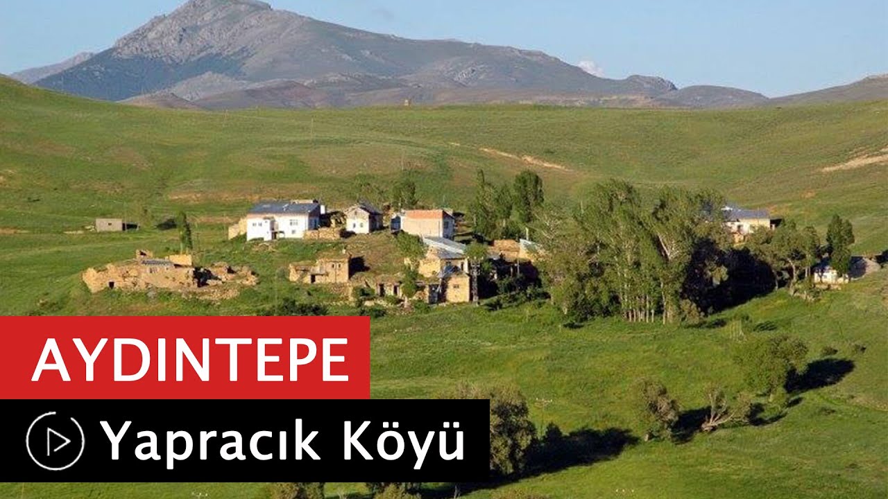 Yapracık Köyü