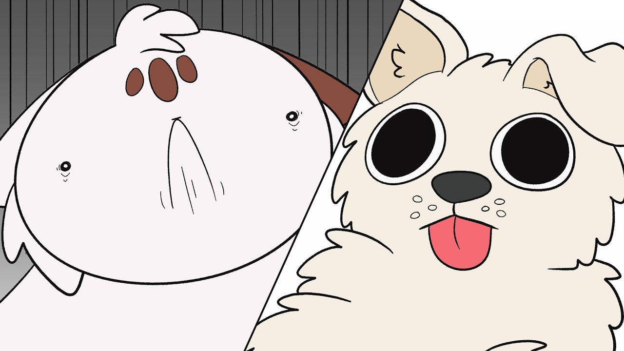 cat vs dog