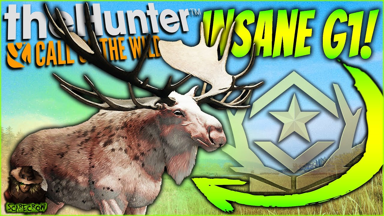 We Hunted The Fabled Birch Great One Moose At A Feeder! Call of the wild