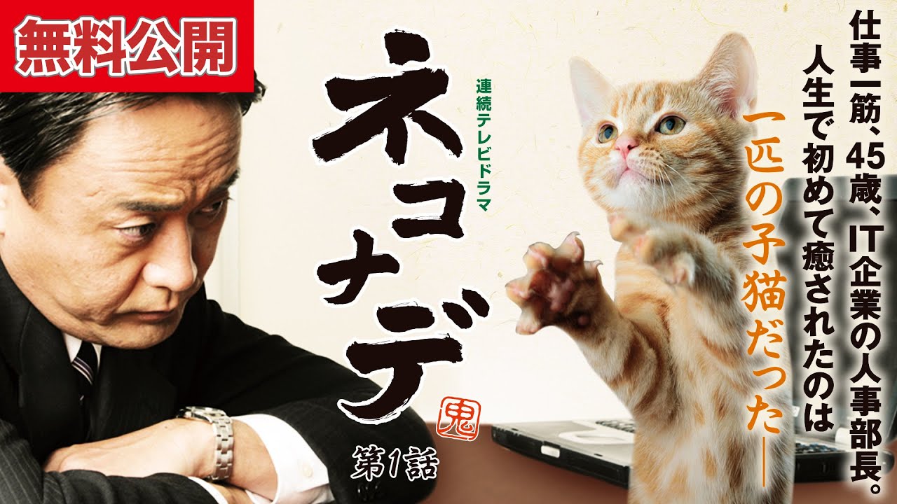 【無料公開中📺】強面サラリーマン、激カワにゃんこを拾う⁈『ネコナデ』第1話