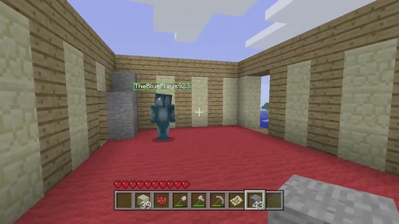 Minecraft Xbox - A Room For A Special Guest [4]