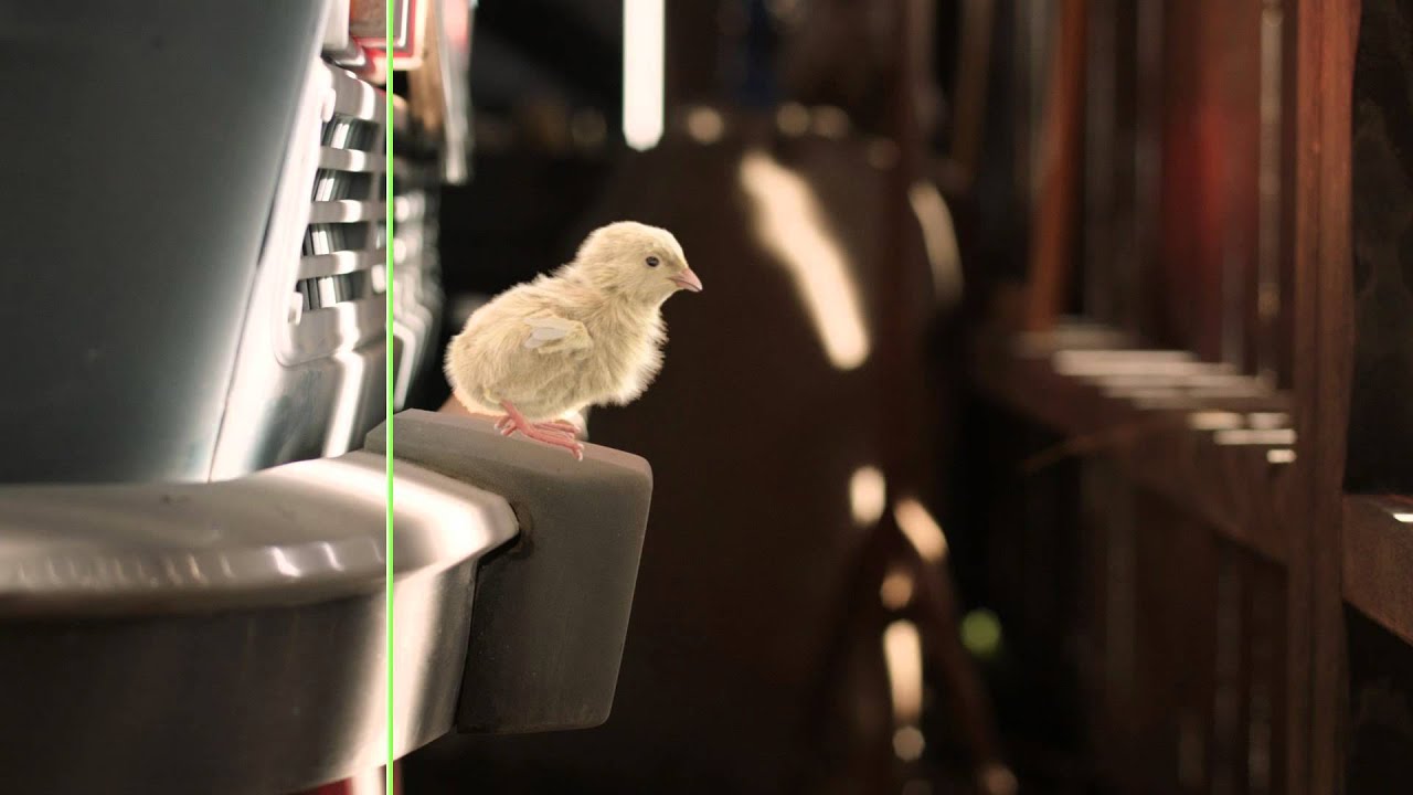 COOP Jednota - Kolesománia 2015 - Making of