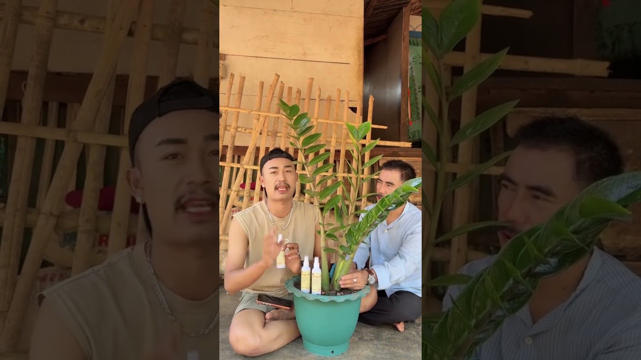 ဒီအပင်ရဲ့နာမည်လေးကို သိကြလား #dailyshorts #food #foodtrends #funny #healthy #thaifood #mukbang